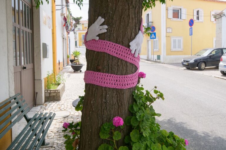 Rua Miguel Bombarda | Vendas de Azeitão | novas decorações