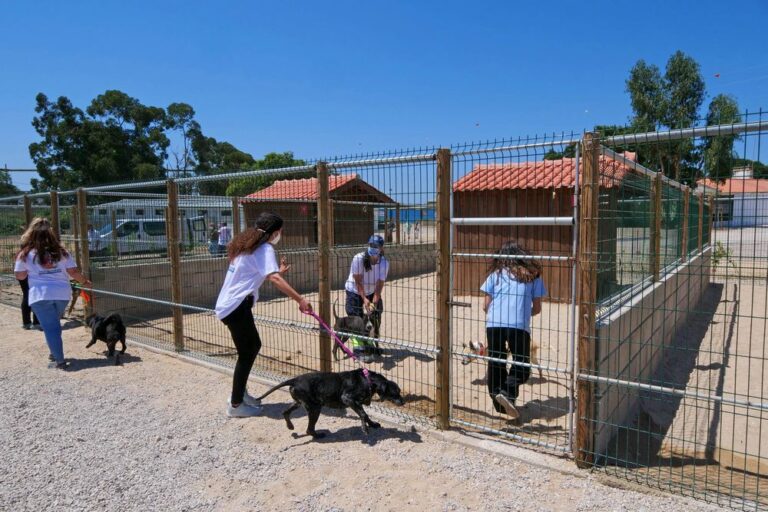 Casa da Bicharada | inauguração