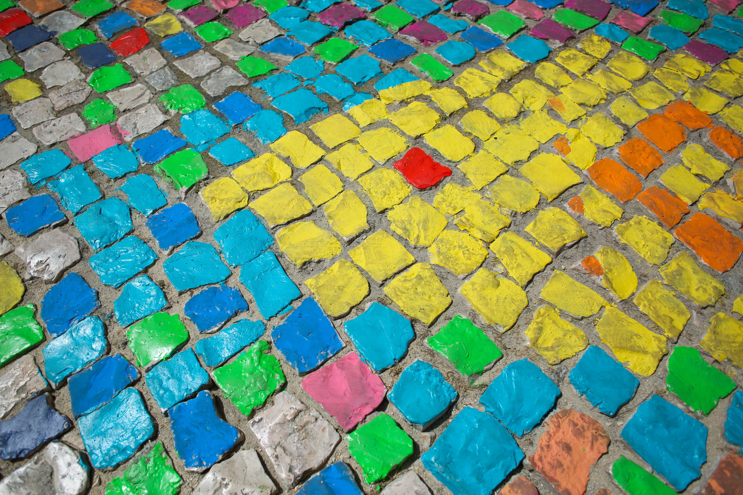 Vamos Colorir a Nossa Rua | primeiro dia