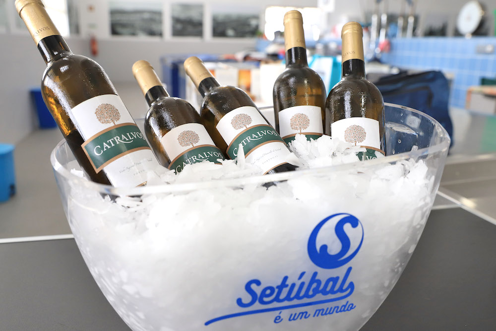 Semana da Sardinha 2021 - Degustação Comentada no Mercado do Rio Azul