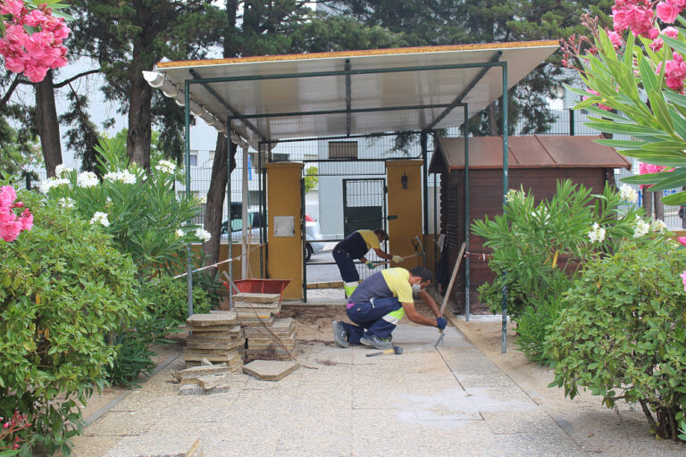 Requalificação de pavimento na Escola Básica dos Pinheirinhos | Foto da JFSS