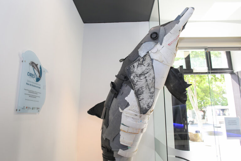 Escultura na Casa da Baía | Golfinho a saltar fora de água