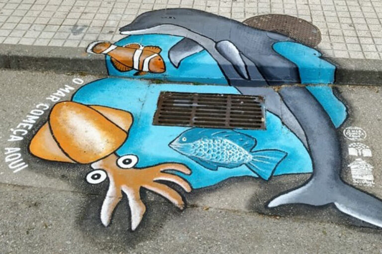 Eco-Escolas | O Mar Começa Aqui