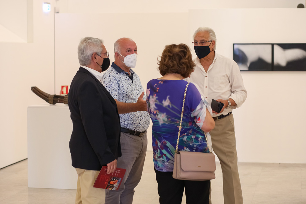 Pluridimensional, Abordagens Artísticas | Galeria Municipal do 11