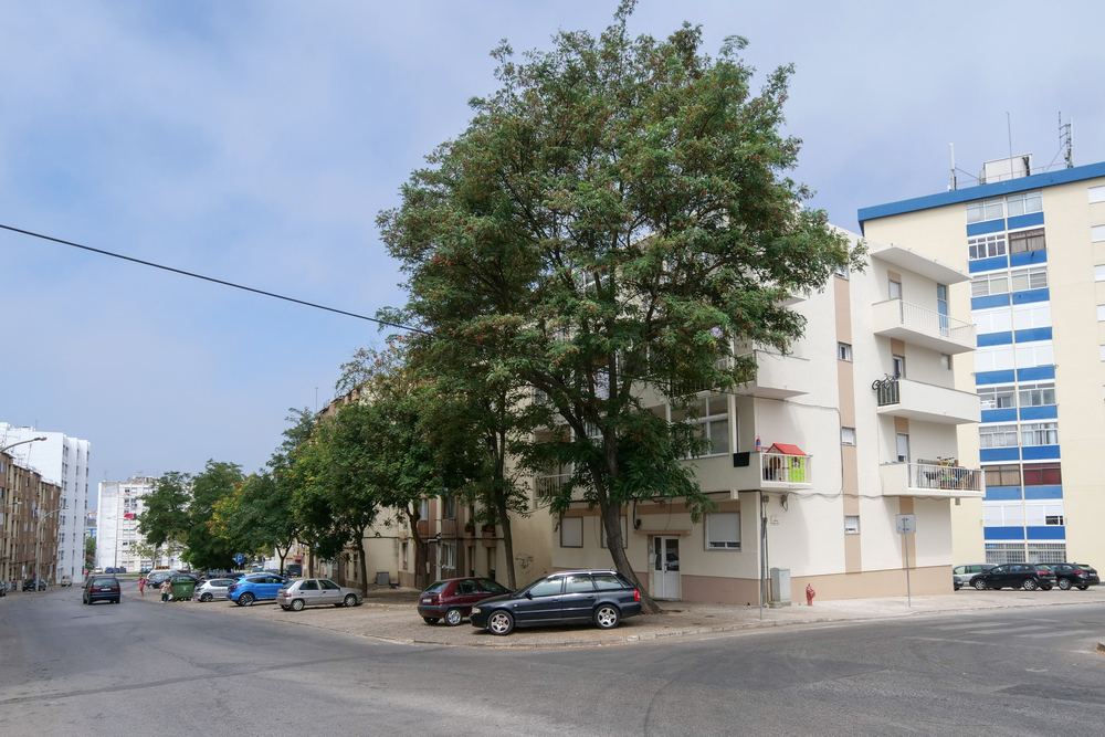 Reabilitação | edifício na Rua Álvaro Gomes