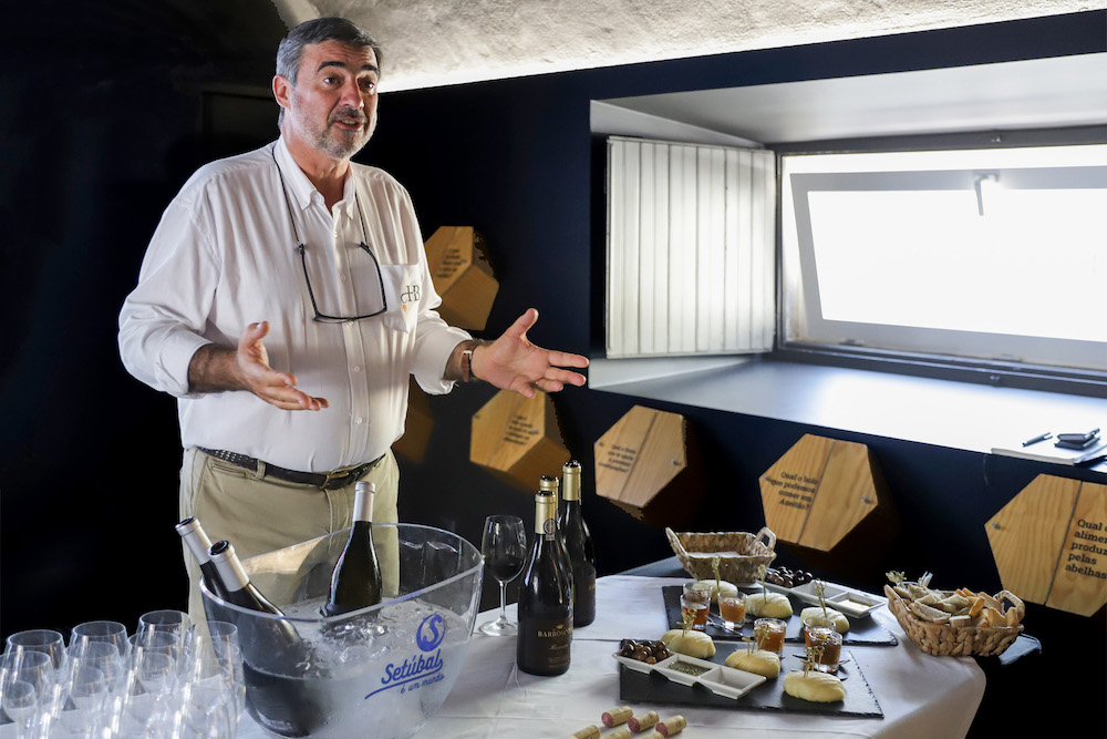 Setúbal Wine & Culture - 2021 - 1.ª prova