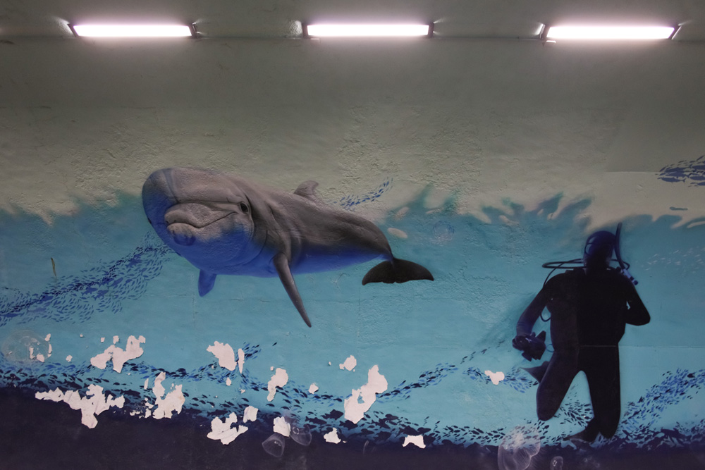 Túnel da Figueirinha | nova iluminação