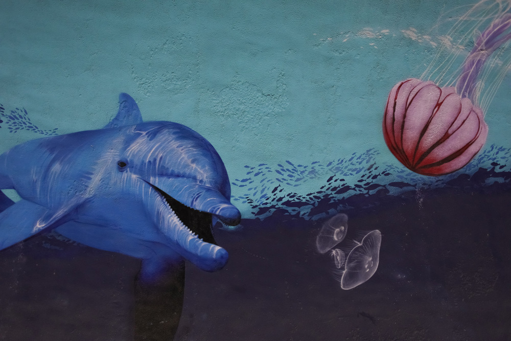 Túnel da Figueirinha | nova iluminação