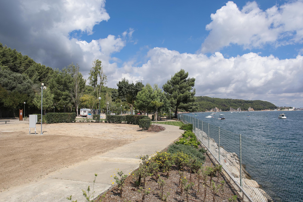 Comemorações Bocagianas 2021 | Homenagem ao Prof. José Fernando Gonçalves