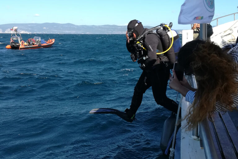 Limpeza subaquática | SulSub