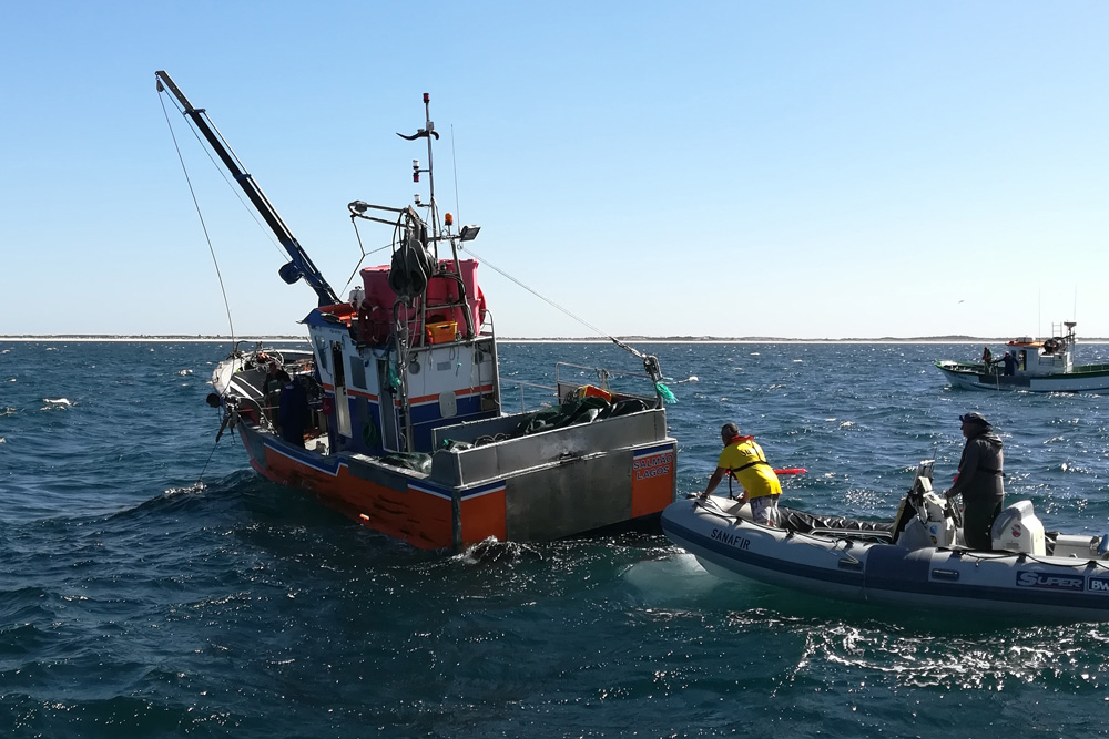 Limpeza subaquática | SulSub