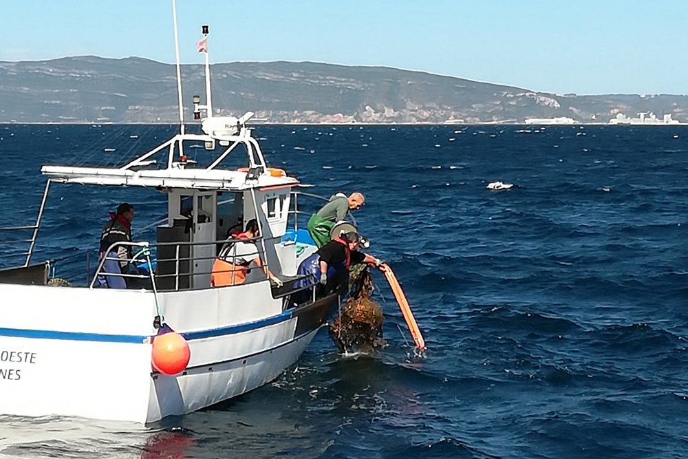 Limpeza subaquática | SulSub