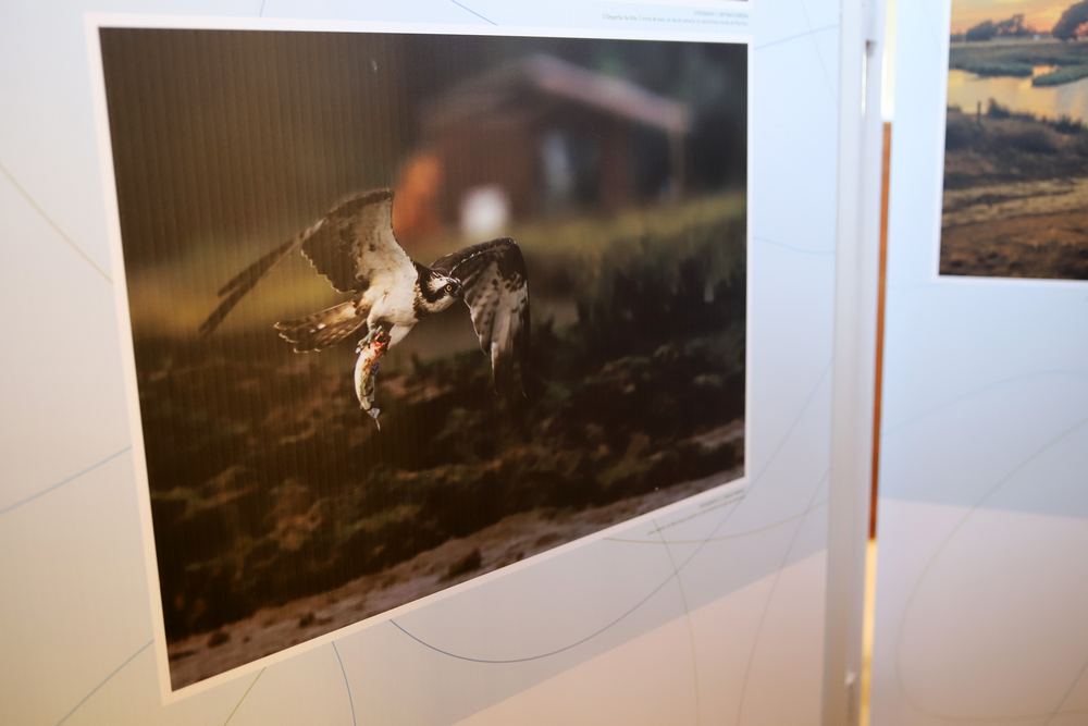 Mourisca Encanta | passatempo de fotografia - entrega de prémios - fotografia vencedora