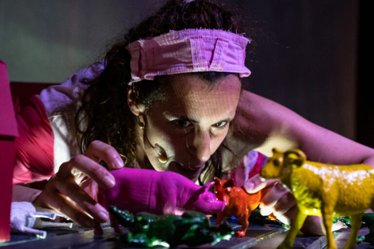 O Triunfo das Porcas - Teatro Estúdio Fontenova