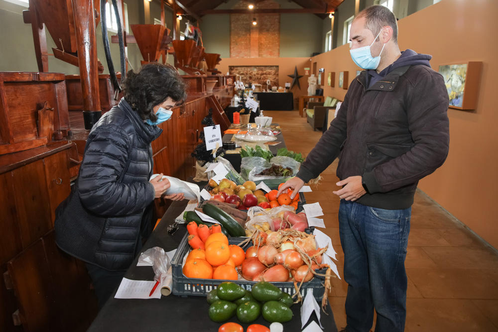 Mercadinho de Natal no Moinho - Setúbal Christmas Fest