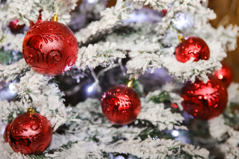 Setúbal Christmas Fest