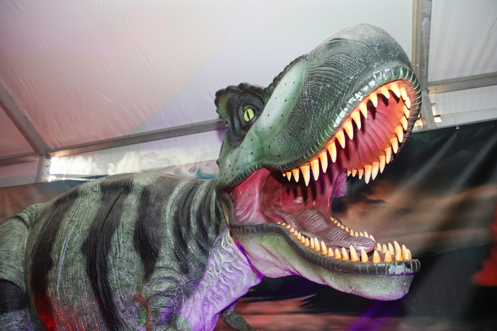 A exposição "O Mundo dos Dinossauros", patente entre 11 de dezembro e 9 de janeiro, no Largo José Afonso, integra o Setúbal Christmas Fest 2021