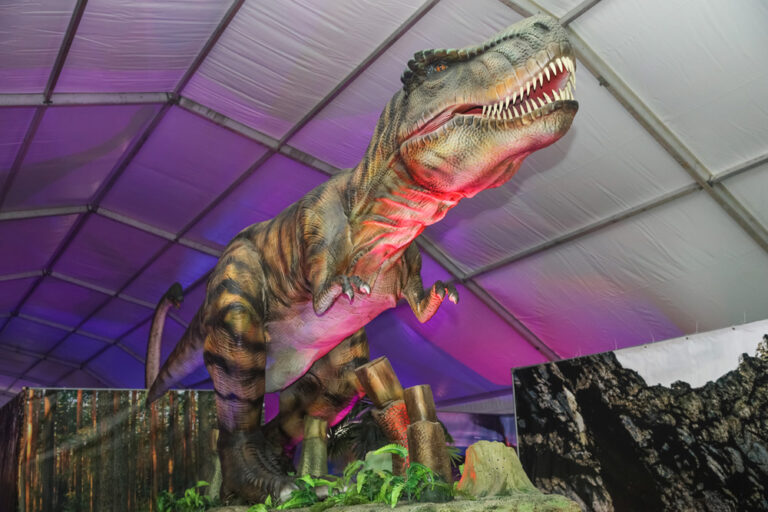 A exposição "O Mundo dos Dinossauros", patente entre 11 de dezembro e 9 de janeiro, no Largo José Afonso, integra o Setúbal Christmas Fest 2021