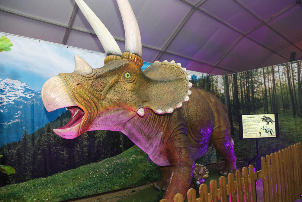 A exposição "O Mundo dos Dinossauros", patente entre 11 de dezembro e 9 de janeiro, no Largo José Afonso, integra o Setúbal Christmas Fest 2021