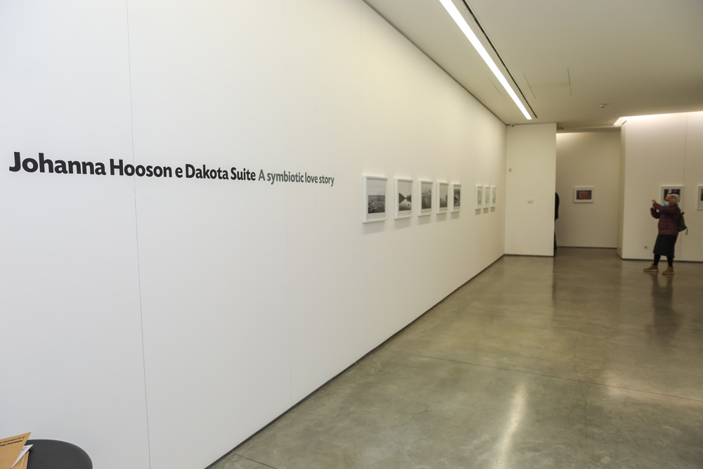 Exposição "A Symbiotic Love Story, Johanna Hooson e Dakota Suite"