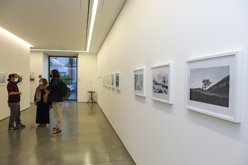 Exposição "A Symbiotic Love Story, Johanna Hooson e Dakota Suite"