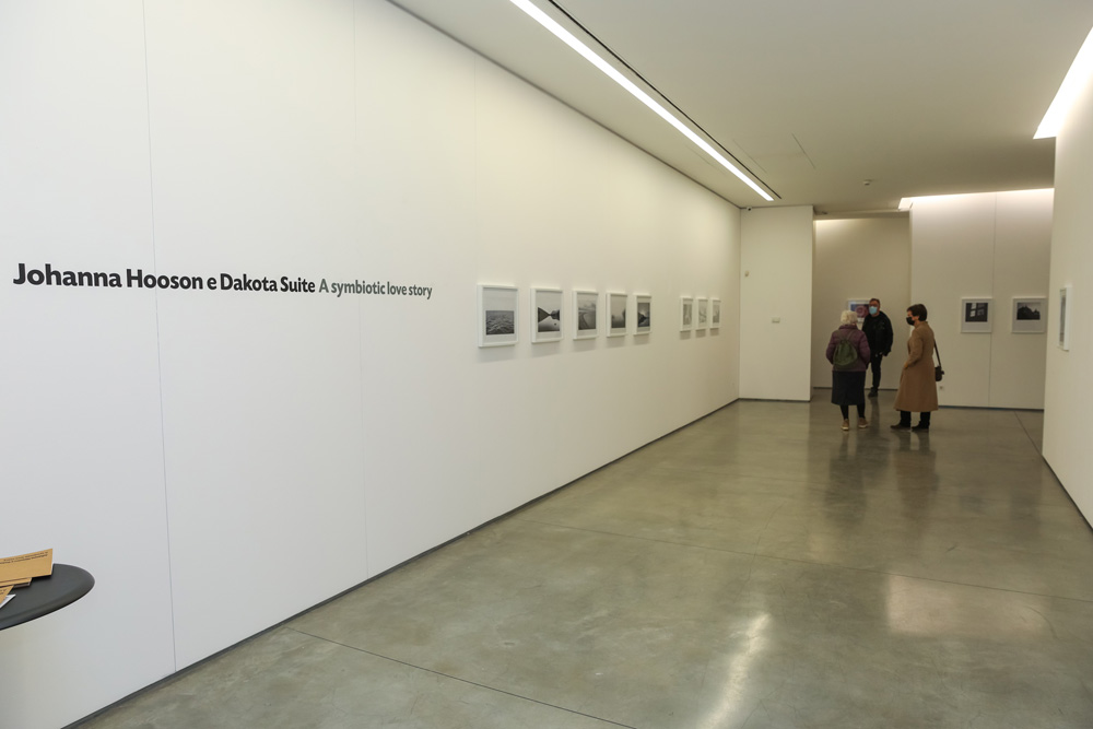 Exposição "A Symbiotic Love Story, Johanna Hooson e Dakota Suite"