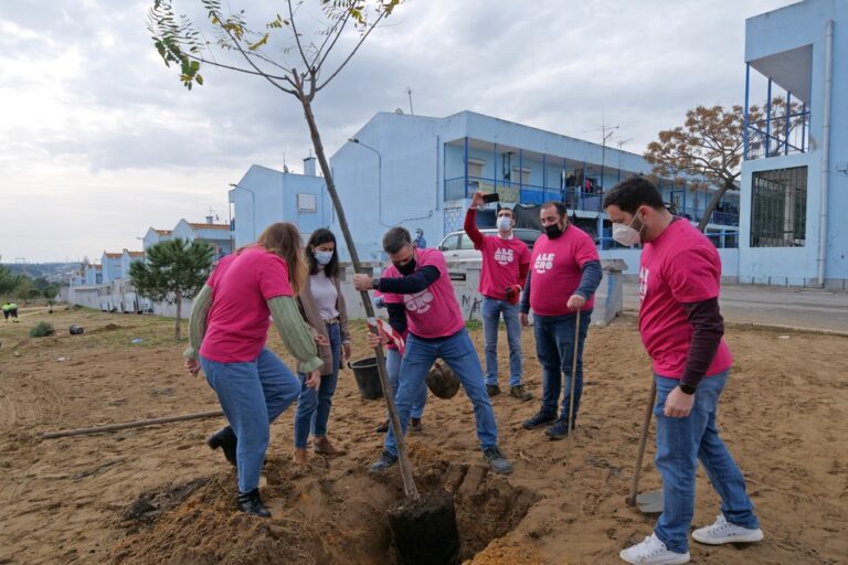 Plantação de árvores - Jardim da Avenida Belo Horizonte - bairro Forte da Bela Vista