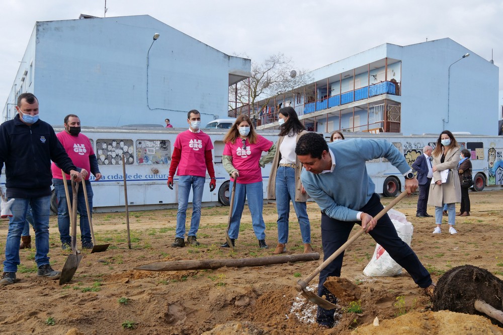 Plantação de árvores - Jardim da Avenida Belo Horizonte - bairro Forte da Bela Vista