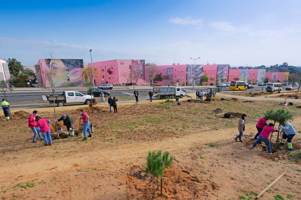 Plantação de árvores - Jardim da Avenida Belo Horizonte - bairro Forte da Bela Vista
