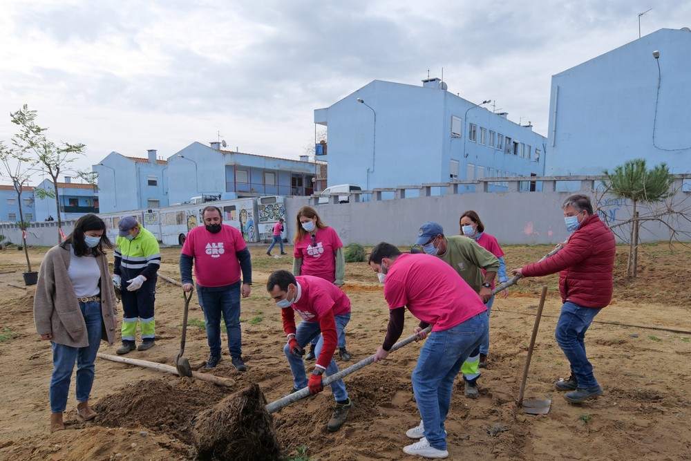 Plantação de árvores - Jardim da Avenida Belo Horizonte - bairro Forte da Bela Vista