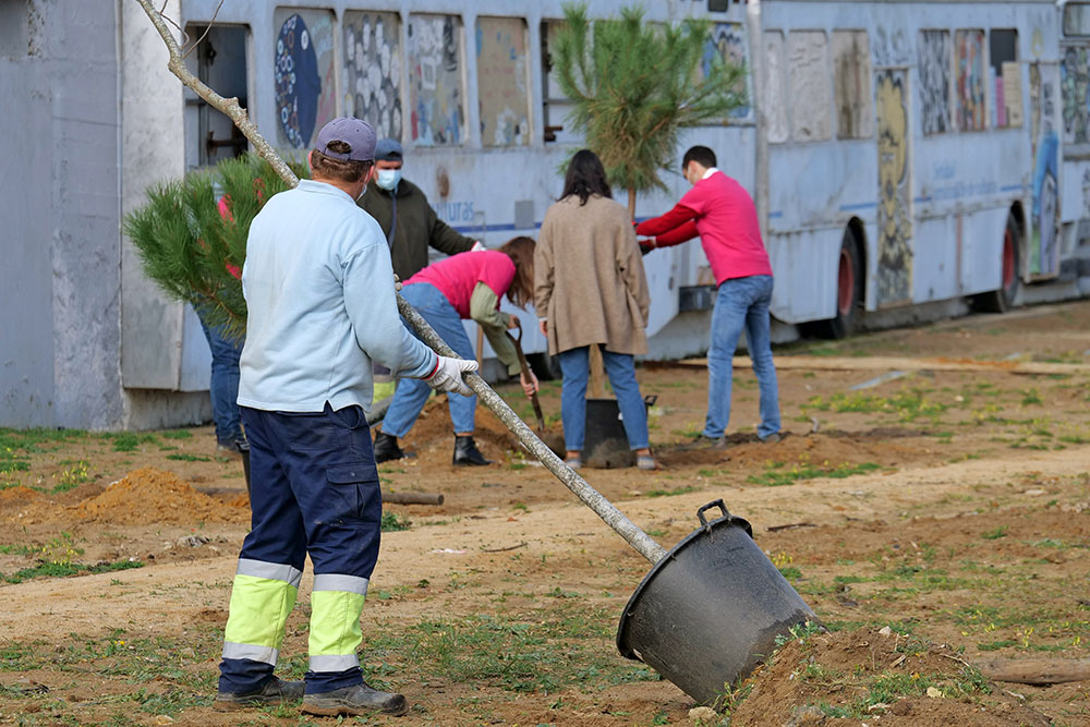 Plantação de árvores - Jardim da Avenida Belo Horizonte - bairro Forte da Bela Vista