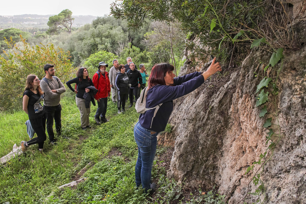 Arrábida Walking Festival 2022 | festival de caminhadas