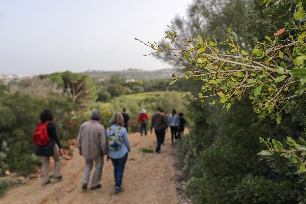 Arrábida Walking Festival 2022 | festival de caminhadas