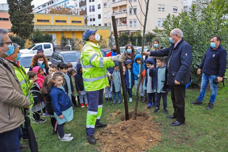 Dia Mundial da Árvore | plantação de árvores na Algodeia