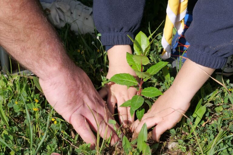 Dia Mundial da Árvore | plantação de árvores no Parque Sant'Iago