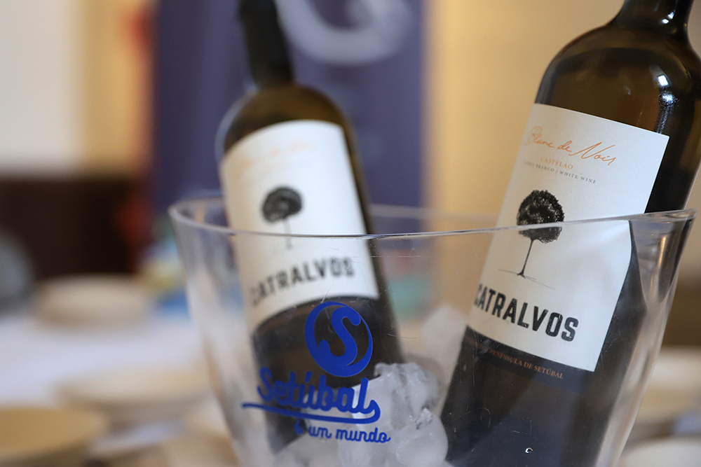 Semana do Choco 2022 - Encontros Prováveis - Visita ao Forte de Albarquel e degustação comentada