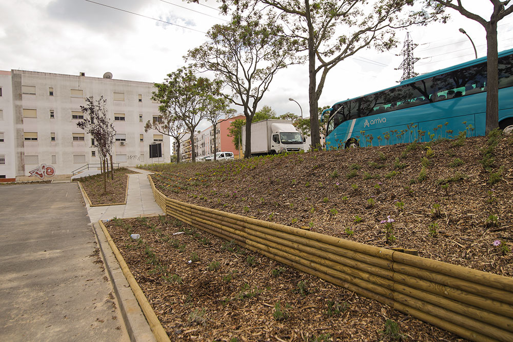Requalificação de espaços verdes na Rua 8 de Maio de 1928 | Vale do Cobro