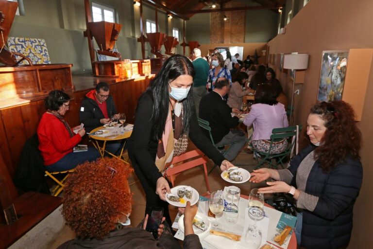 Semana da Ostra 2022 | Encontros Prováveis