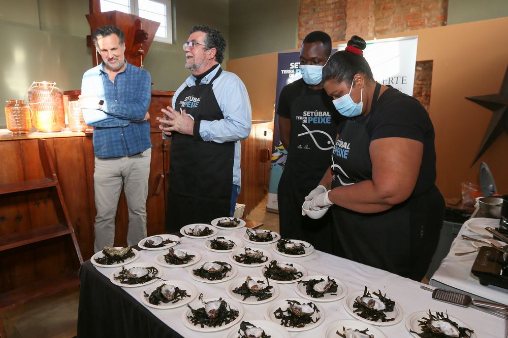 Semana da Ostra 2022 | Encontros Prováveis