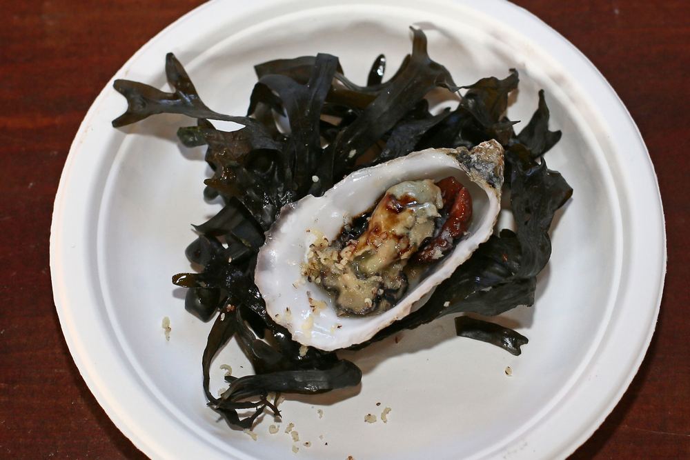 Semana da Ostra 2022 | Encontros Prováveis