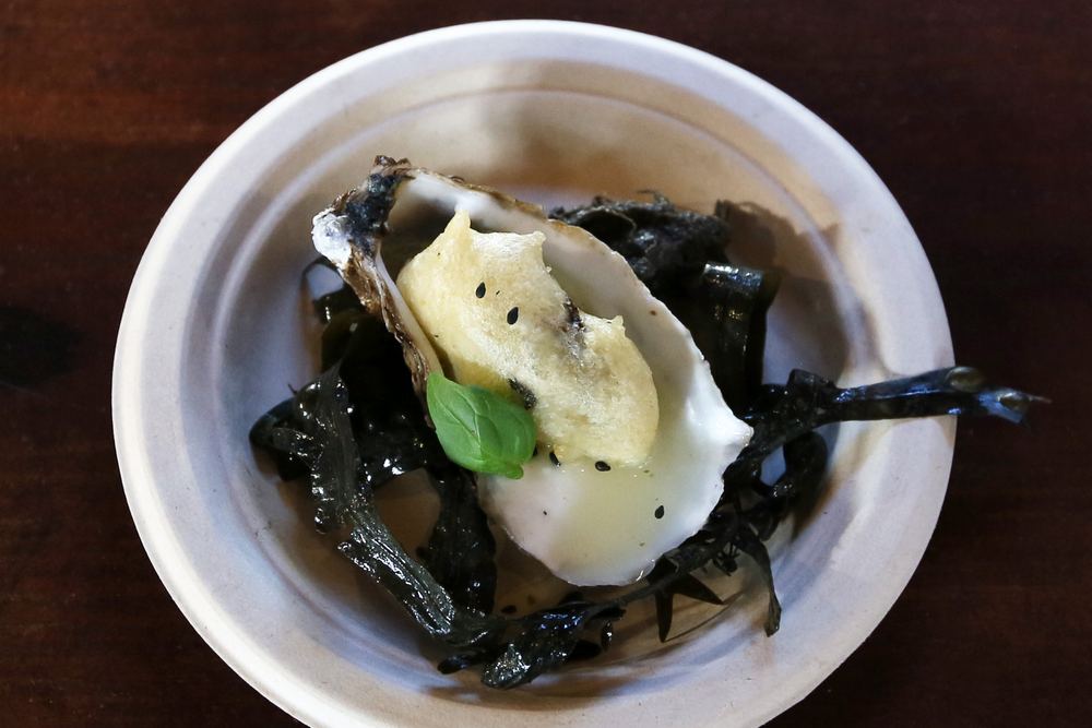 Semana da Ostra 2022 | Encontros Prováveis