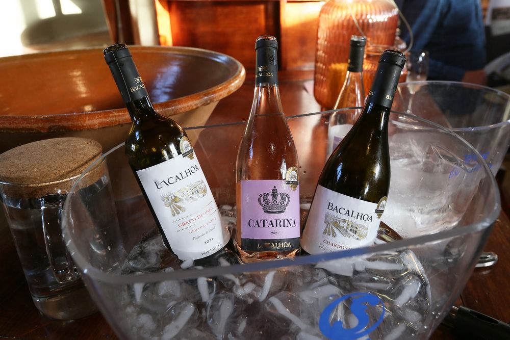 Semana da Ostra 2022 | Encontros Prováveis