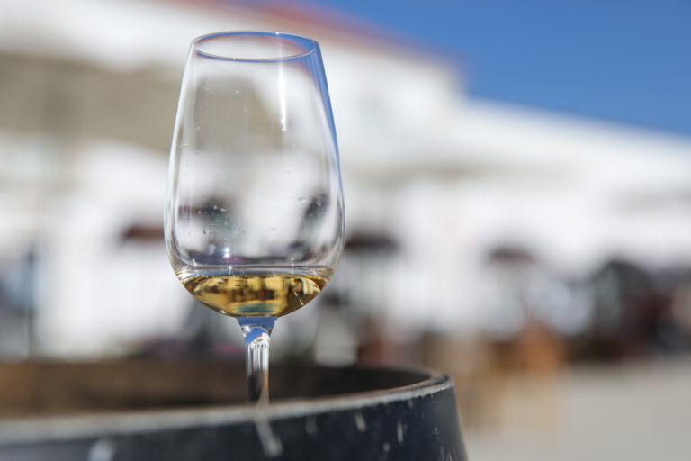 Concurso Cidades dos Vinhos em Setúbal