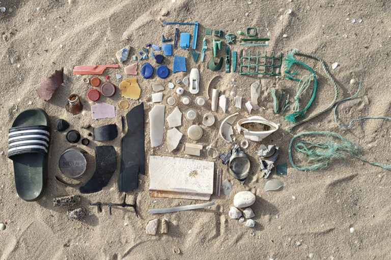 Exposição Perdidos no Mar, Achados na Maré