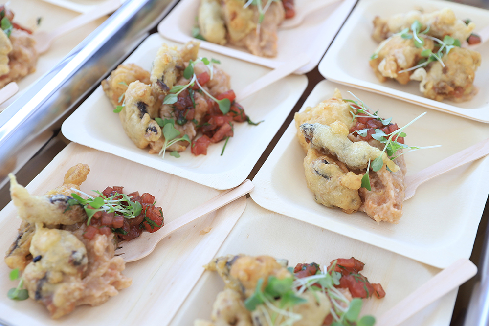 Semana da Cavala 2022 | Encontros Prováveis no Forte de São Filipe