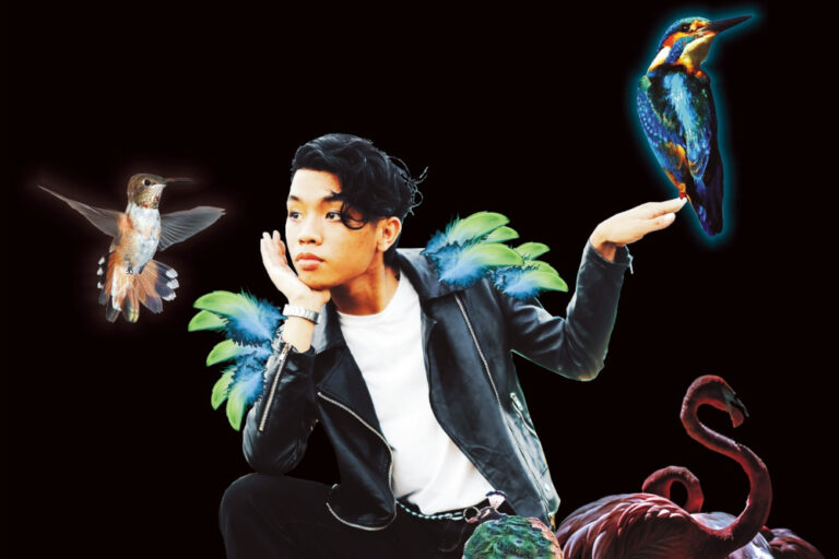 Festival Setúbal Voz