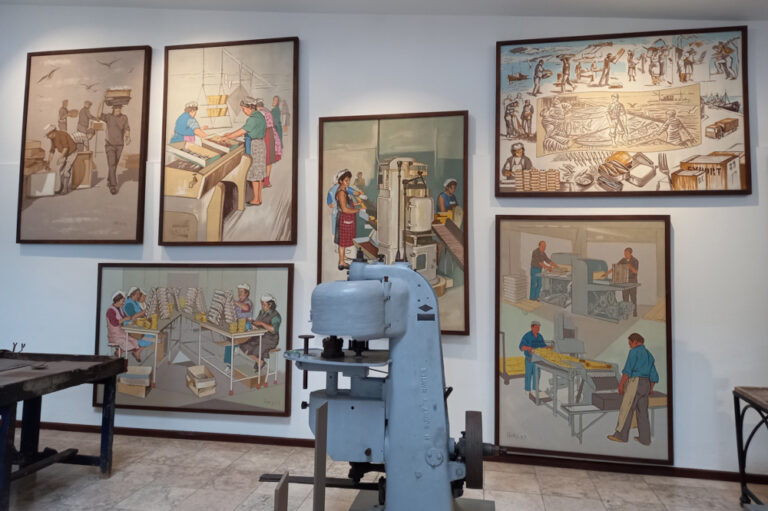 "Setúbal na Obra de Rogério Chora" em exposição