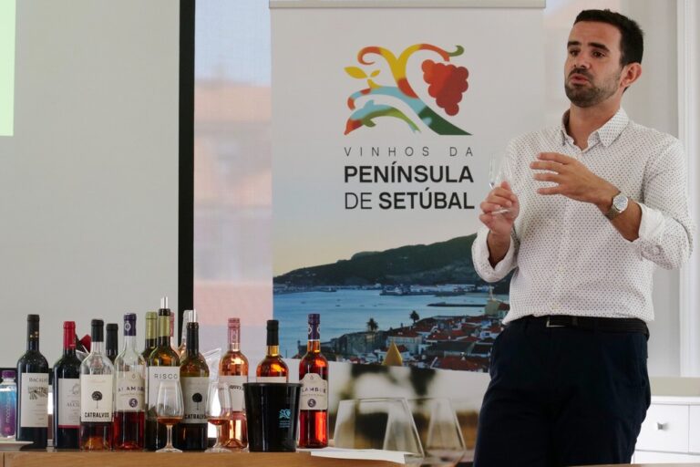 Workshop Vinhos do Concelho - Da Adega à Garrafeira