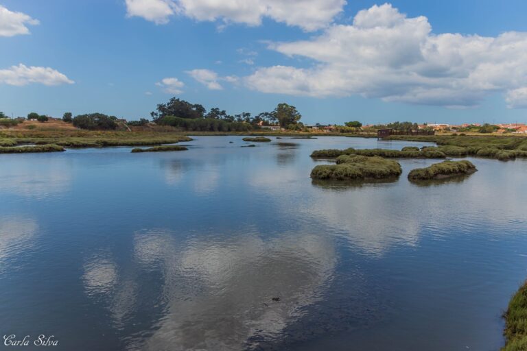 Exposição "Luz da Mourisca" com foto de Carla Silva