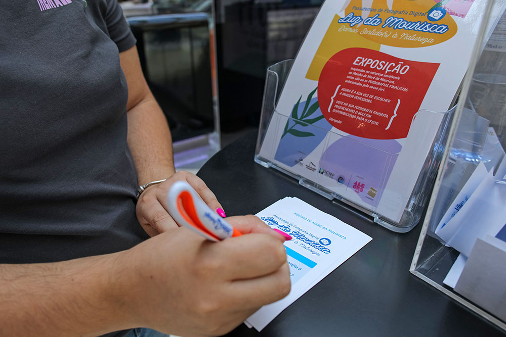 Exposição Luz da Mourisca - Alegro Setúbal